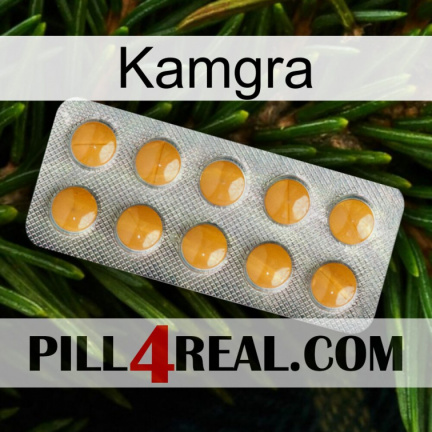 Kamgra levitra1